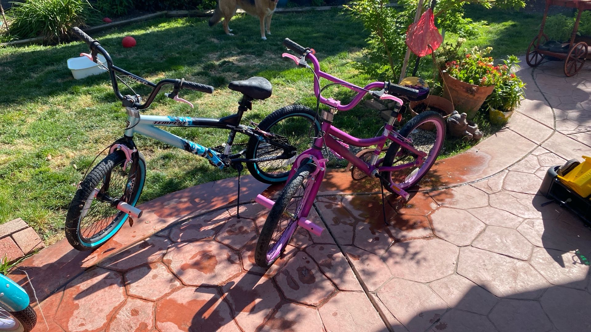 Bikes
