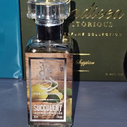 Dua Succulent 