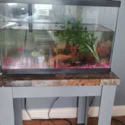 Set De Mesas Con Pecera Y Peces