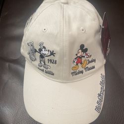 Disney Hat