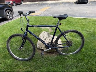 Giant bike