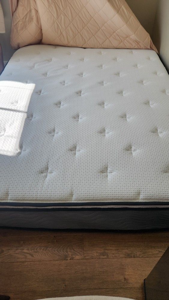 Zinus 12 Inch Support Plus Pocket Spring Hybrid Mattress,