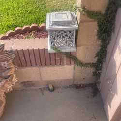 Garden Deco