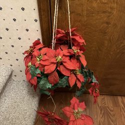 2 Poinsettias Hanging Baskets