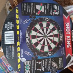 Professional Dart Board 