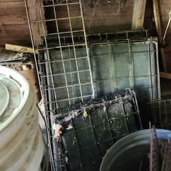 Metal Dog Crates