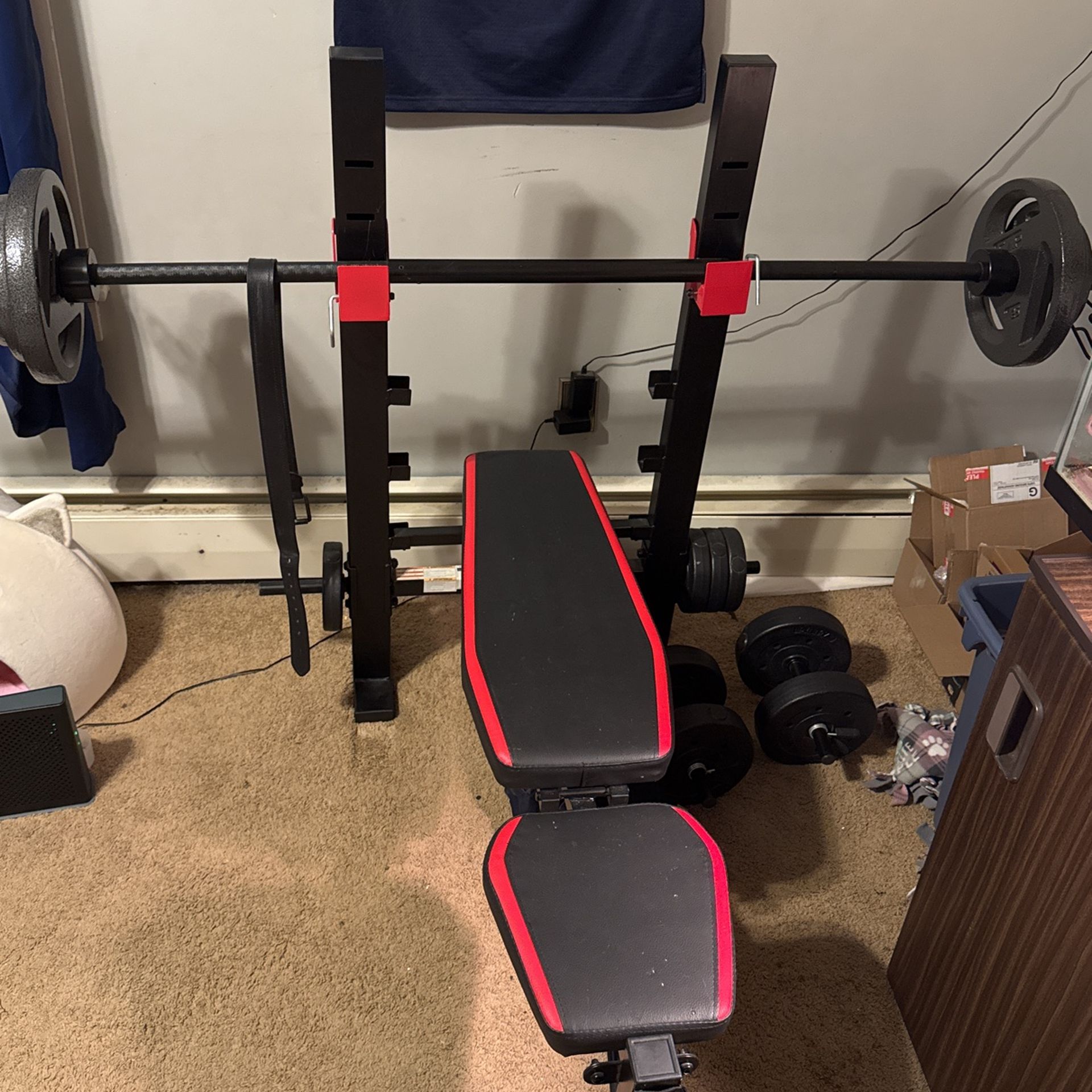 Bench Press