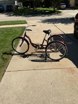 Tricycle bike