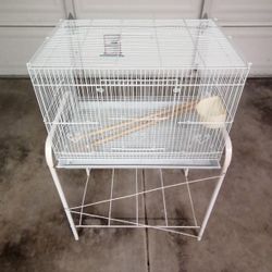 Bird Cage 