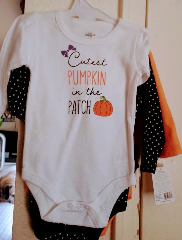 New Baby Girls 3-6 Months Long Sleeve Fall Set