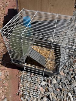 Hamster Cage
