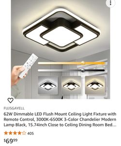 Low Profile Decorative Black White Light