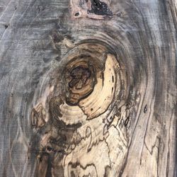 Live Edge Black Gum Slabs