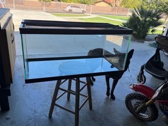 50 gal terrarium tank