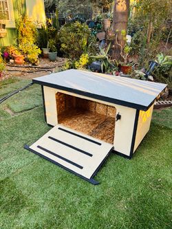 Tortoise house
