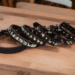 Small Dog Collars