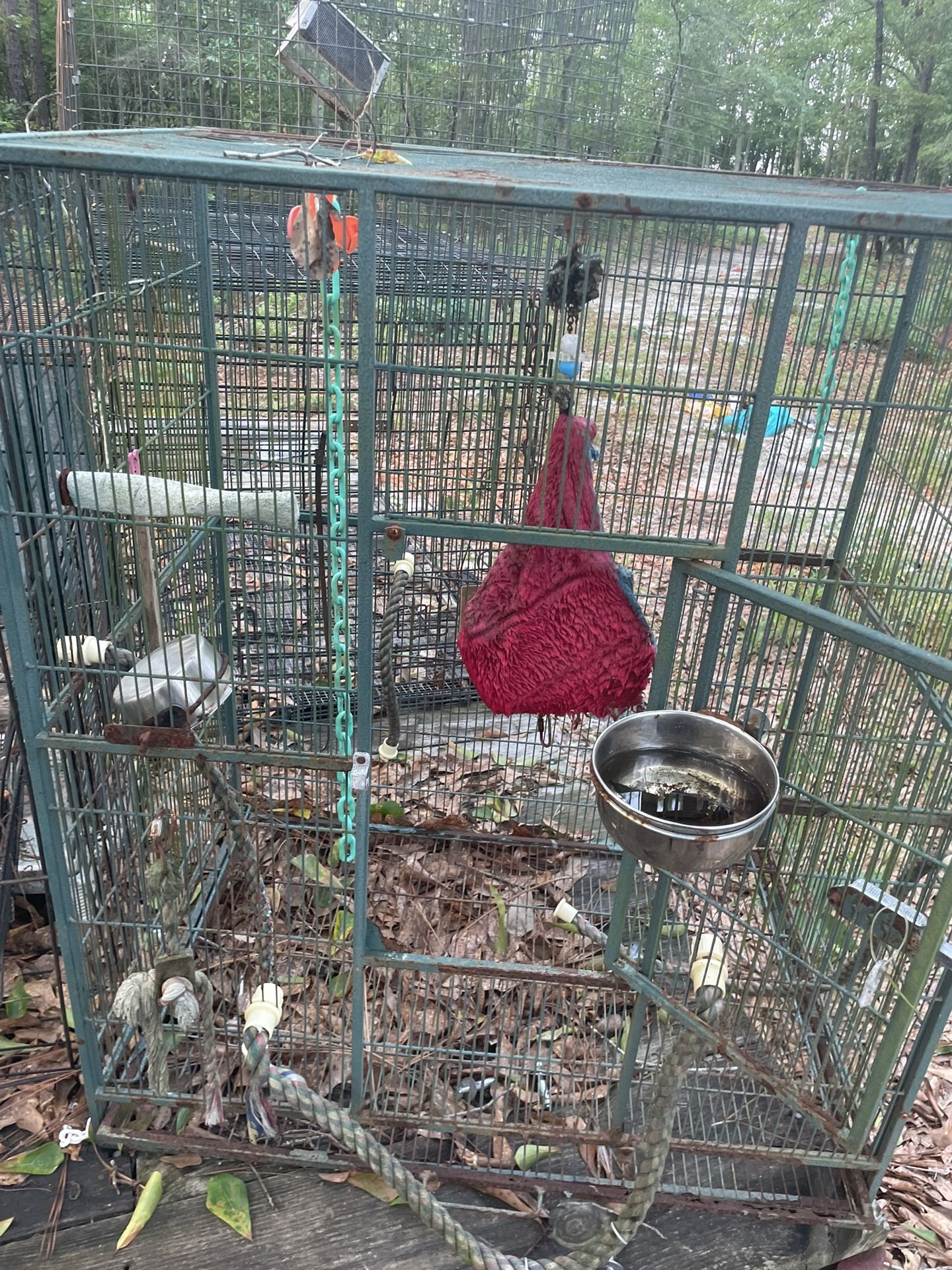 Metal Bird Cage