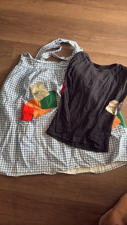 Homemade Pipi longstocking costume