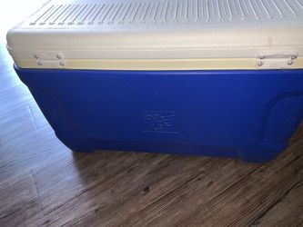 Cooler igloo