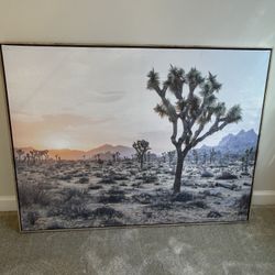 Joshua Tree Wall Art