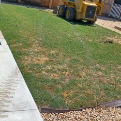 Bobcat  Skid  Grass/dirt  