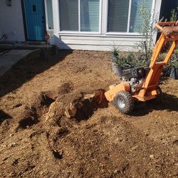 Stump GRINDER