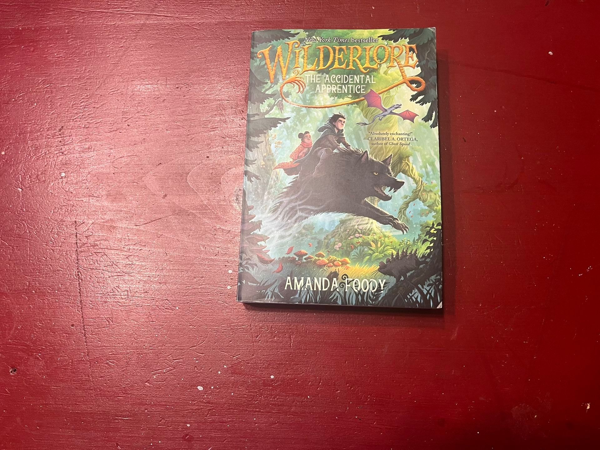 Wilderlore book #1 Accidental Apprentice