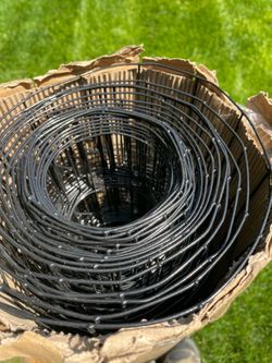 Galvanized steel black pvc coated welded wire