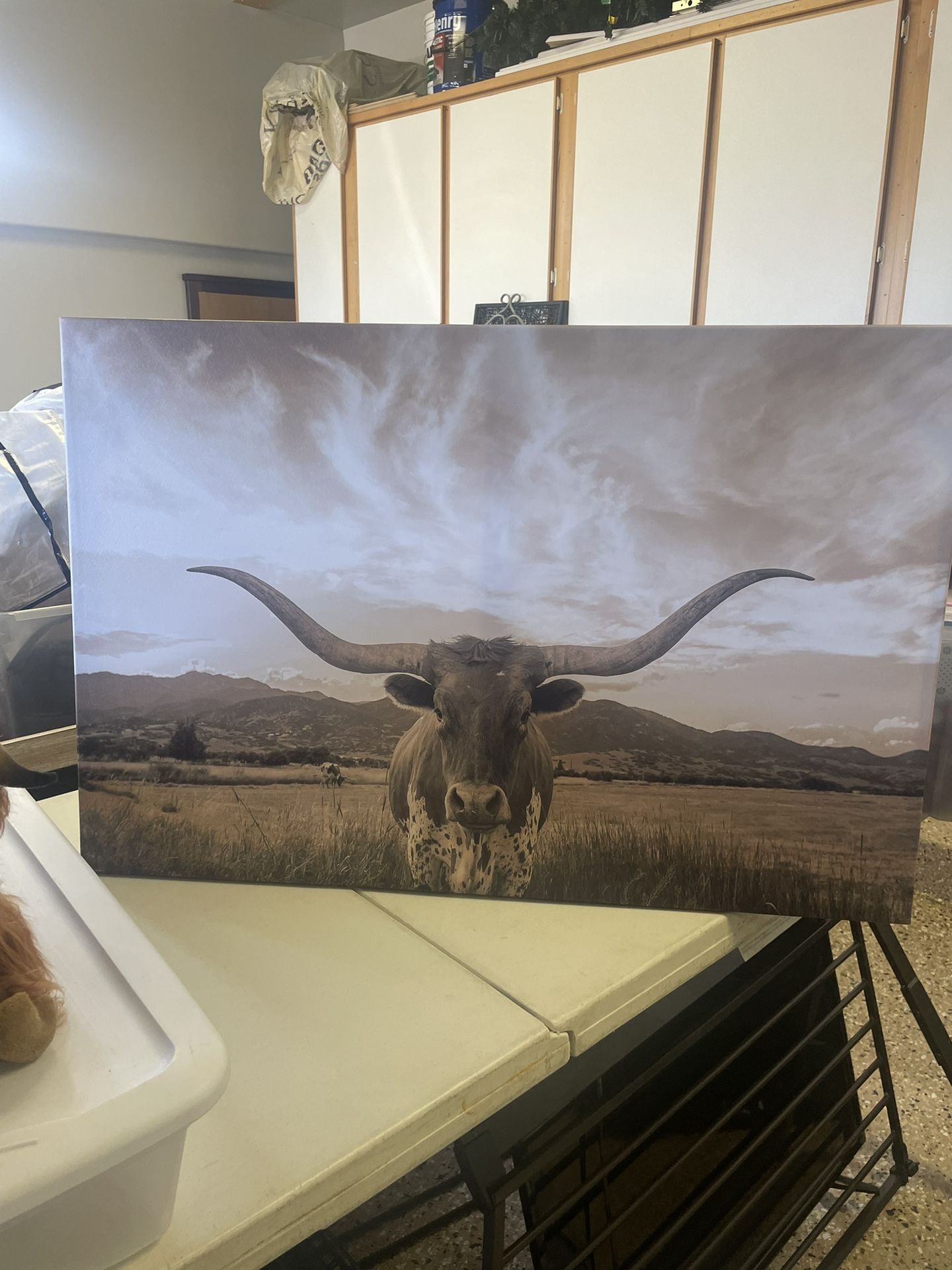 Longhorn Canvas Wall Hanging 