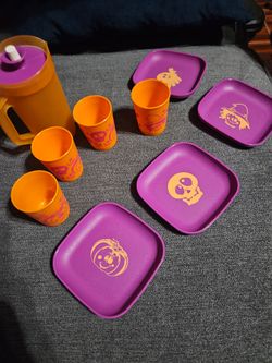 Tupperware Plastic Plate and Cup Set