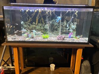 55-gallon aquarium with stand,