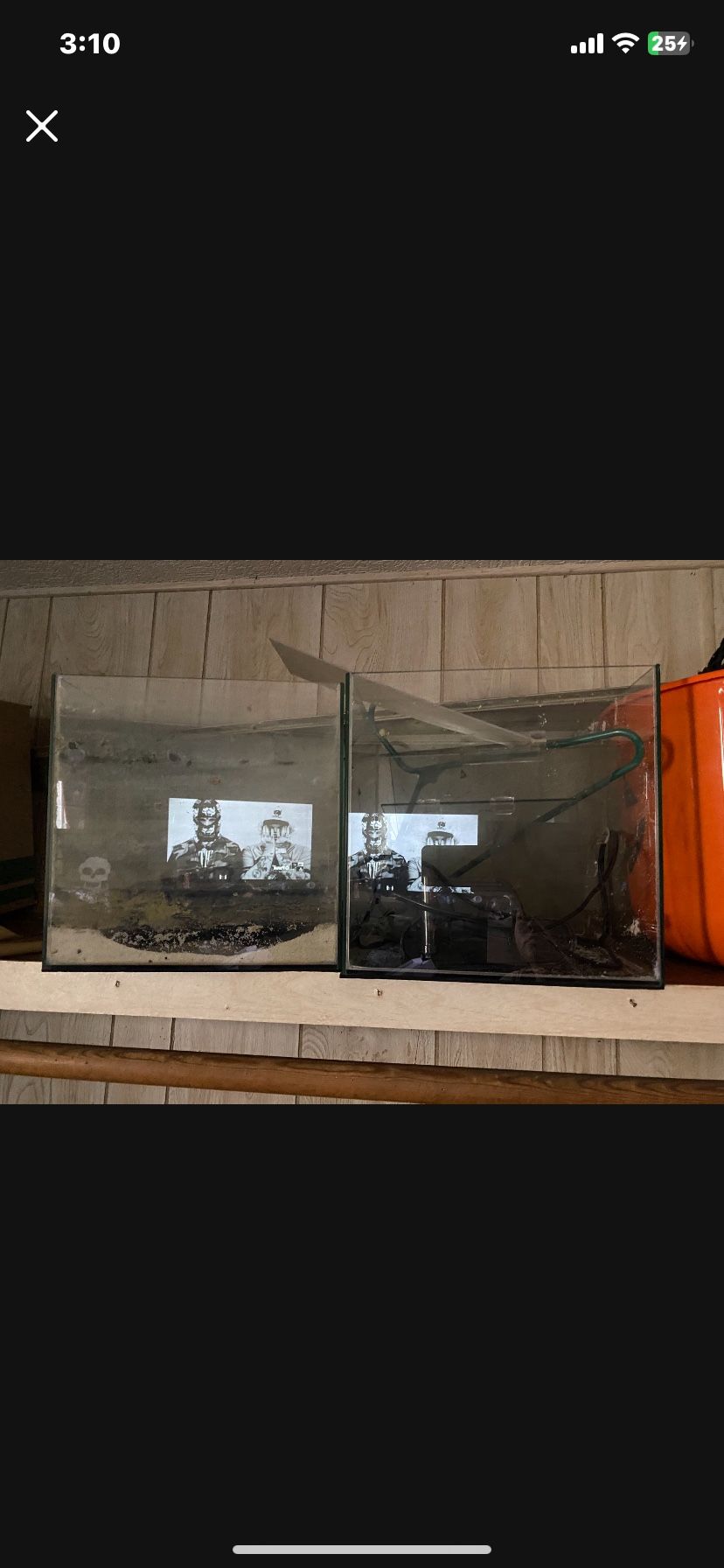 6 Gallon Fish Tanks