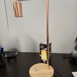 Decorarive Lamps an d  Bulbs