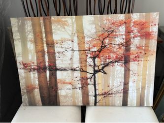 Autumn Scene Picture