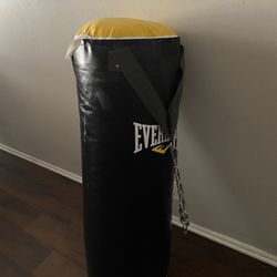 Everlast Punching Bag