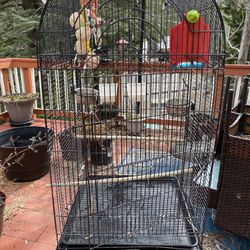 Large Bird cage 