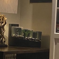 Fish Tank