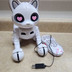 Robo Cat