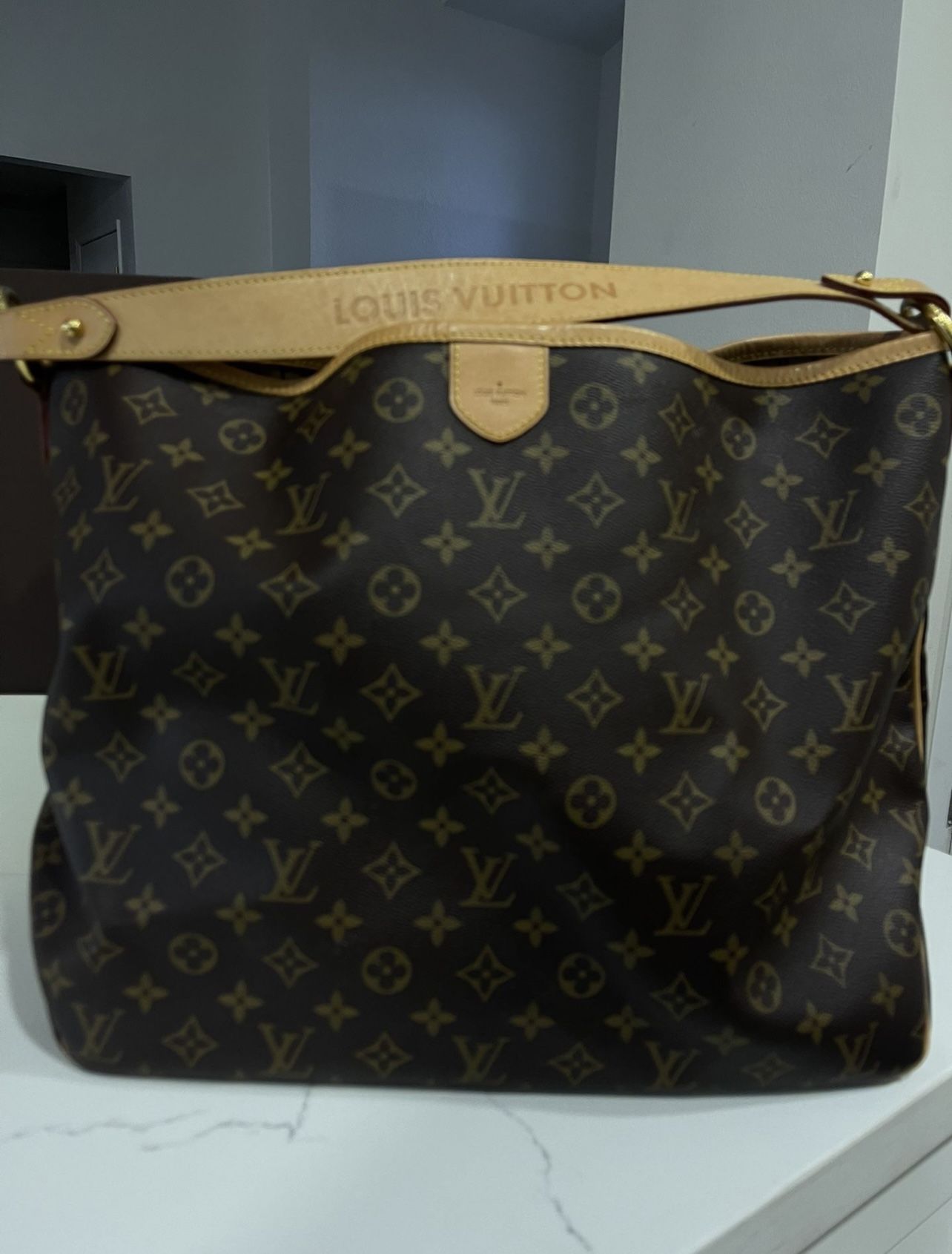 Louis Vuitton Authentic Bag