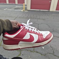 Nike Dunk Sneakers Low Tops