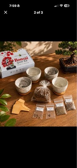 Bonsai Starter Set