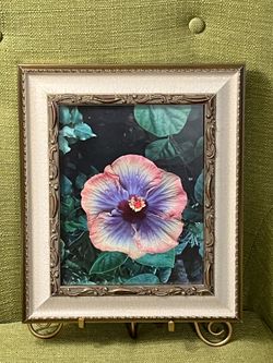 Framed Hibiscus Flower Print