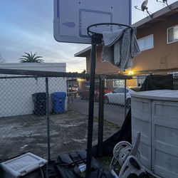 Basketball Hoop 