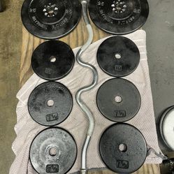 Weight Plates / Curl Bar.         90 Dollars 
