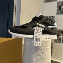 Woman Shoe 