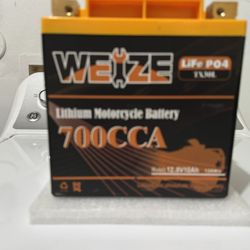 Harley Touring Battery
