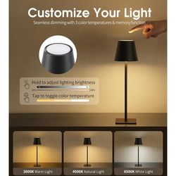 Rechargeable Table Lamp (2 pack)