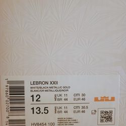 LeBron XXII Mogul size 12 Brand New
