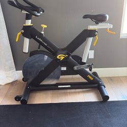 Lemond Exercise Bike