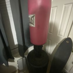 Everlast Freestanding Punching Bag